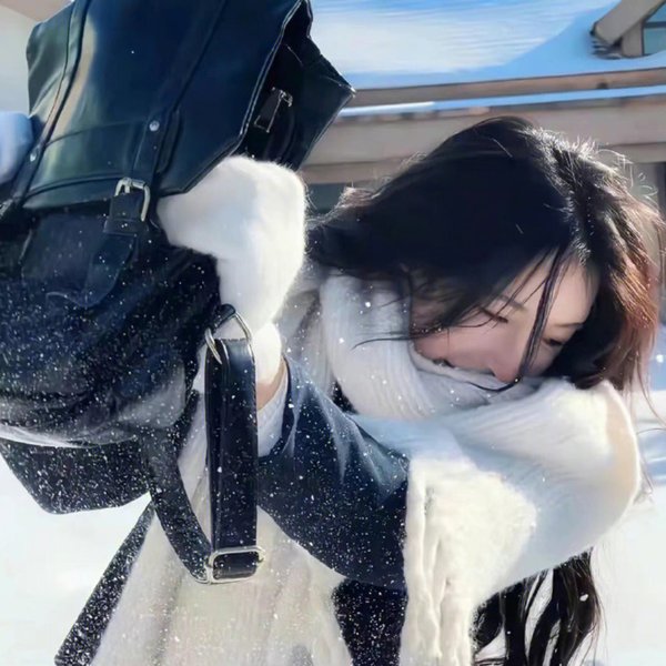 落在香杉树的雪花