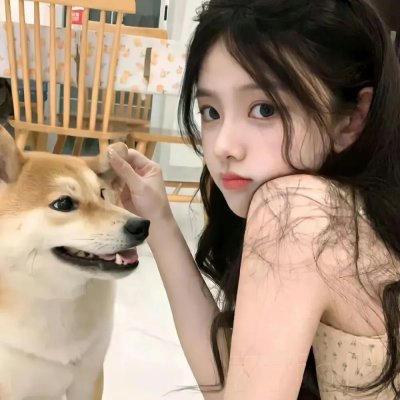 绿绮琴挑